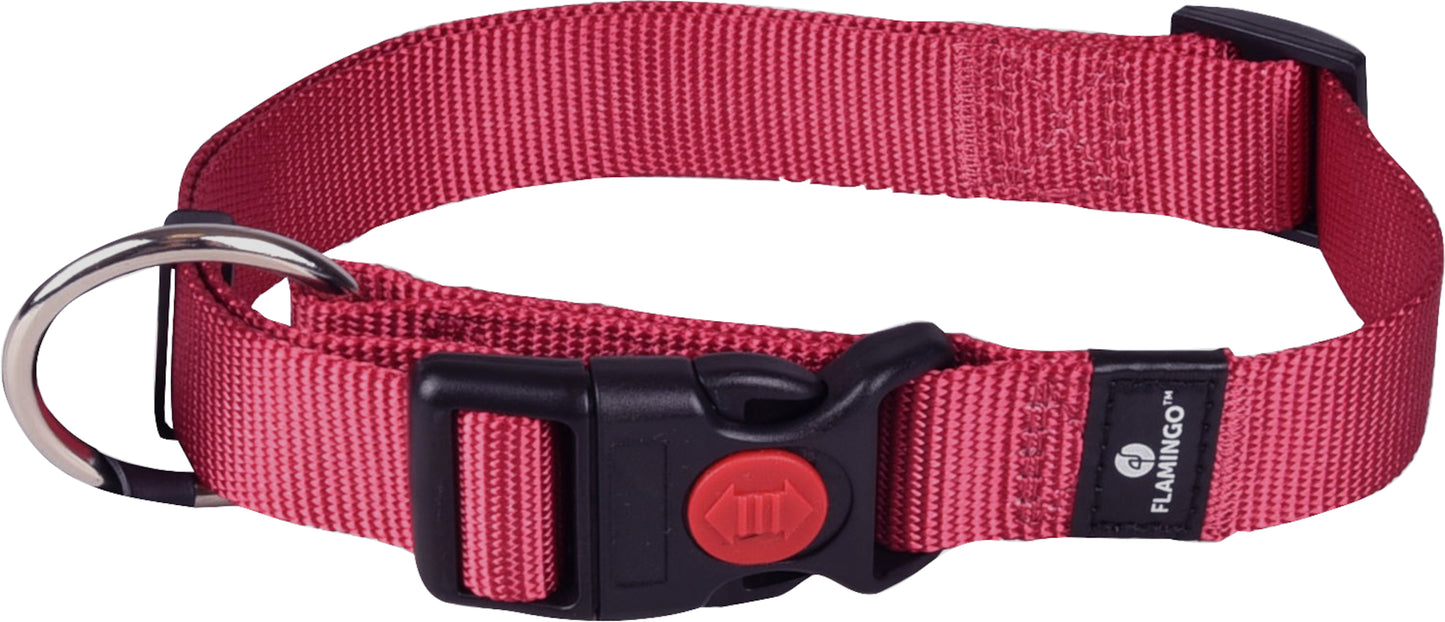 519916 - Chien Collier Ziggi Rouge cérise L 45-65cm 25mm