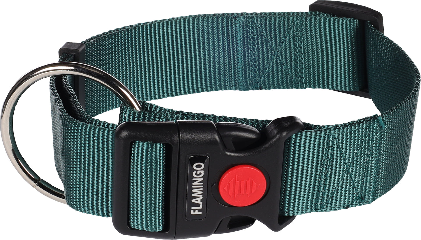 521861 - Chien Collier Ziggi Vert foncé XL 55-75cm