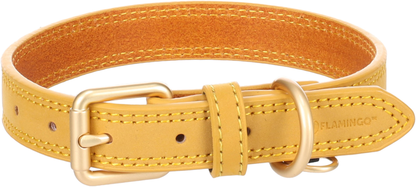 523637 - Chien Collier Virginia Jaune S/M