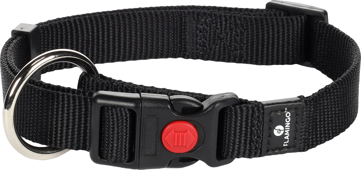 5363644 - Chien Collier Ziggi Noir M 40-55cm