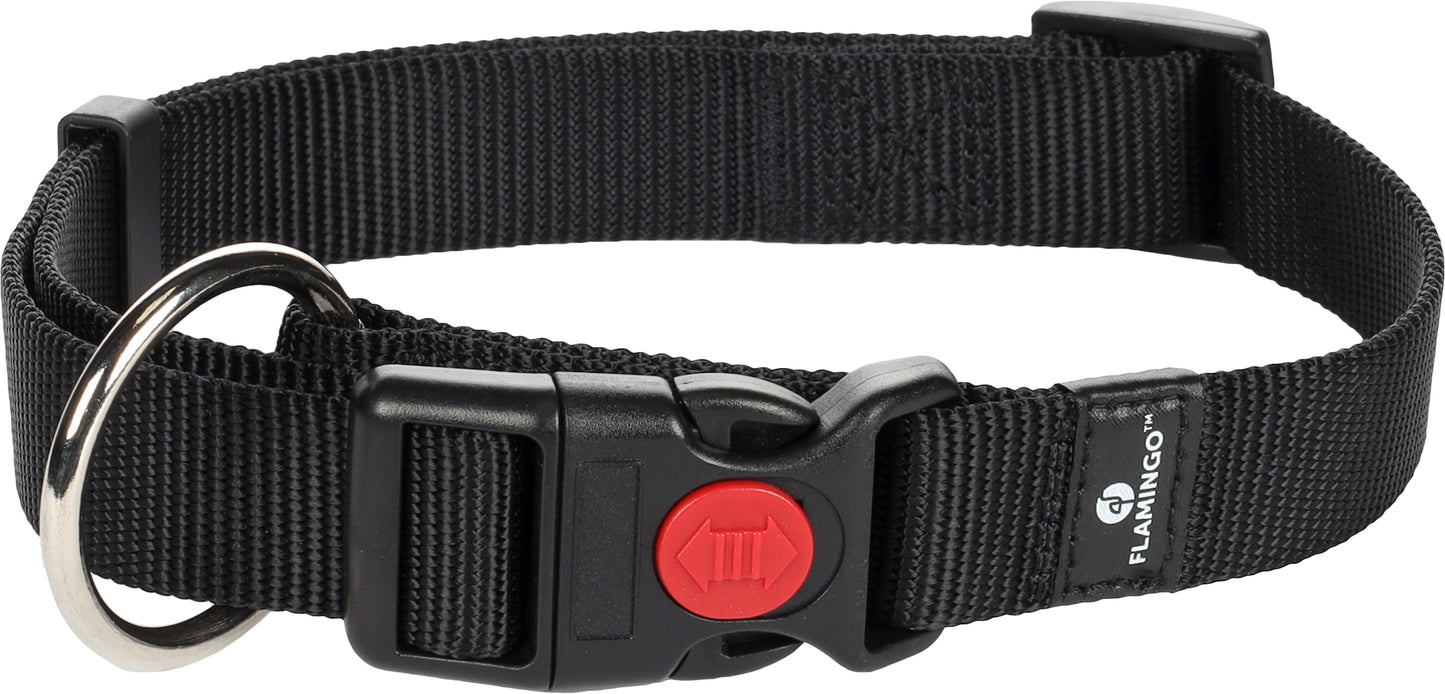 5363654 - Chien Collier Ziggi Noir L 45-65cm