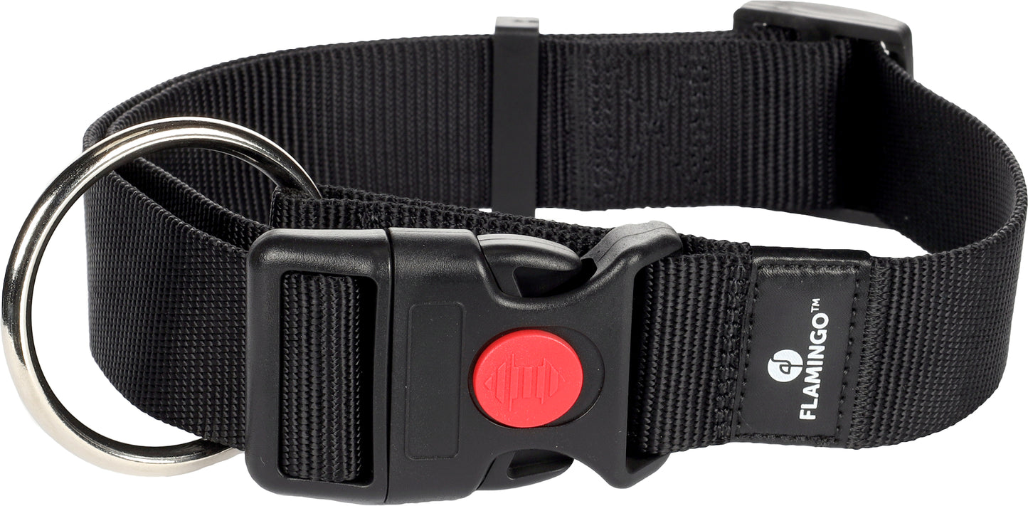 5363659 - Chien Collier Ziggi Noir XL 55-75cm