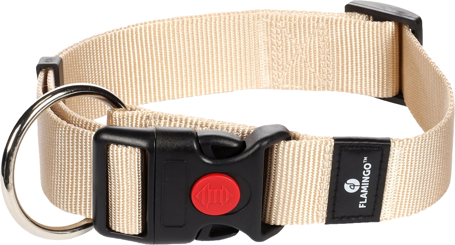 5363919 - Chien Collier Ziggi Beige XL 55-75cm