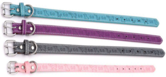 3701497700868 - Collier chien