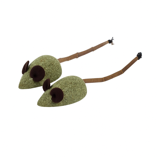 218022 - SOURIS EN DUO HC M