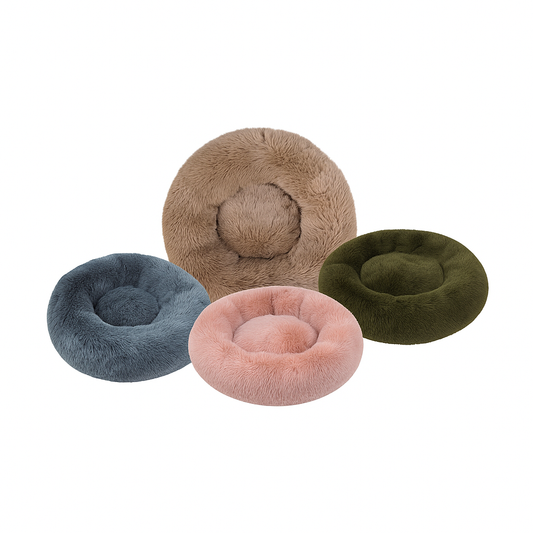 221300 - CORBEILLE RONDE MOELLEUSE T50 BEI