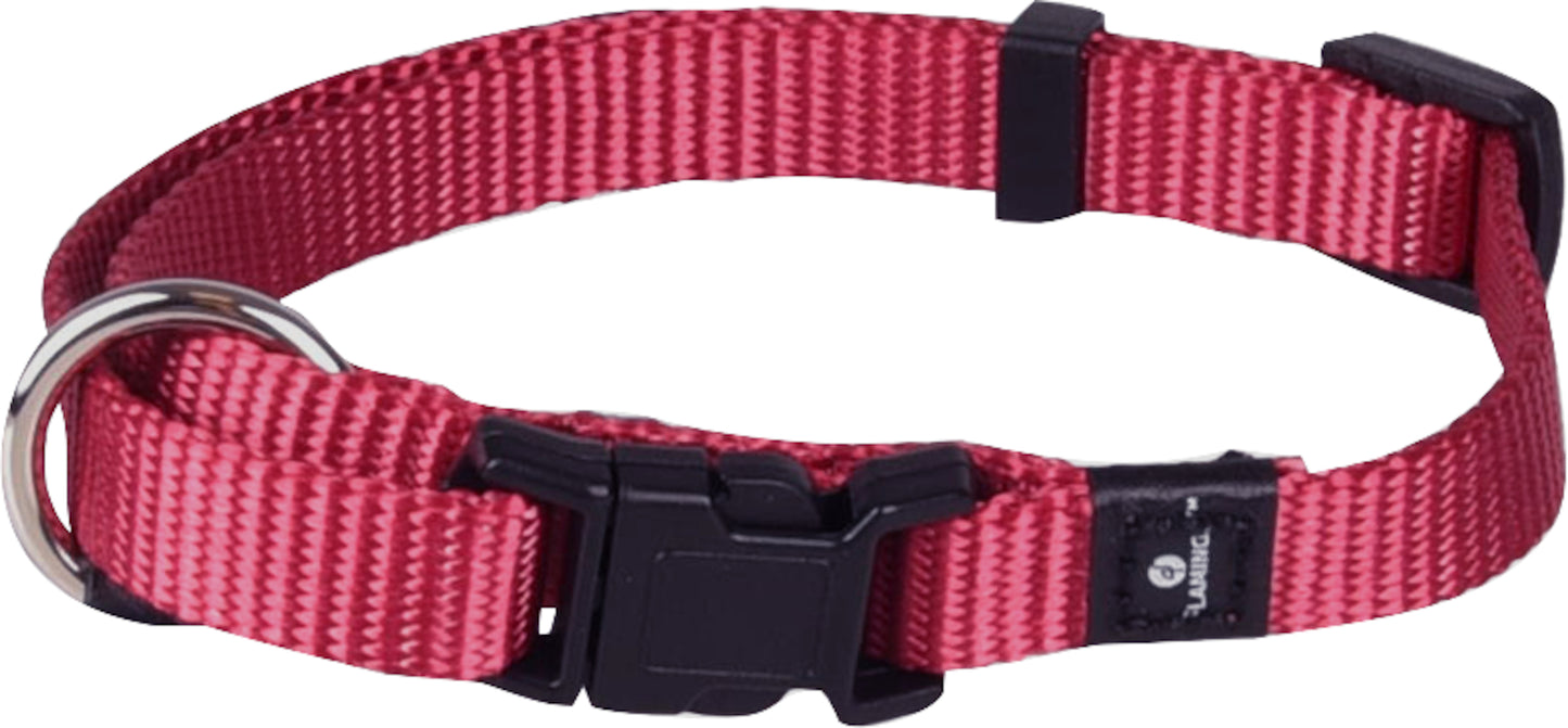 519913 - Chien Collier Ziggi Rouge cérise XS 20-35cm 10mm