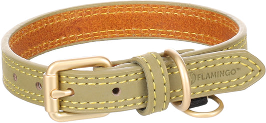 523630 - Chien Collier Virginia Vert XS/S