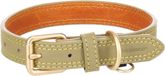 523631 - Chien Collier Virginia Vert S/M