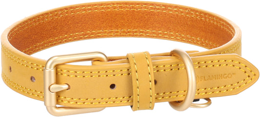 523637 - Chien Collier Virginia Jaune S/M