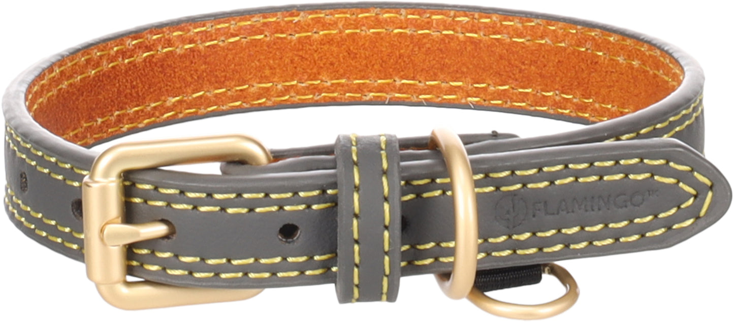 523642 - Chien Collier Virginia Gris XS/S