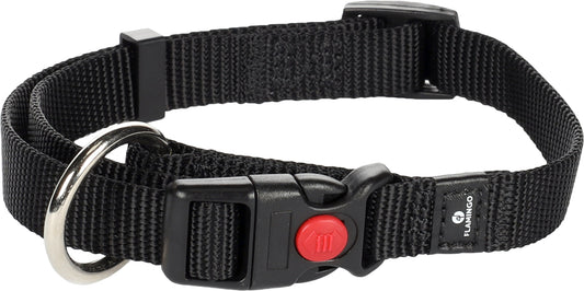5363634 - Chien Collier Ziggi Noir S 30-45cm