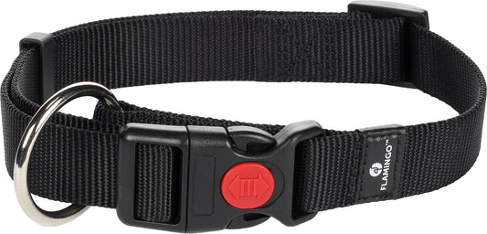 5363654 - Chien Collier Ziggi Noir L 45-65cm