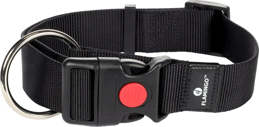 5363659 - Chien Collier Ziggi Noir XL 55-75cm