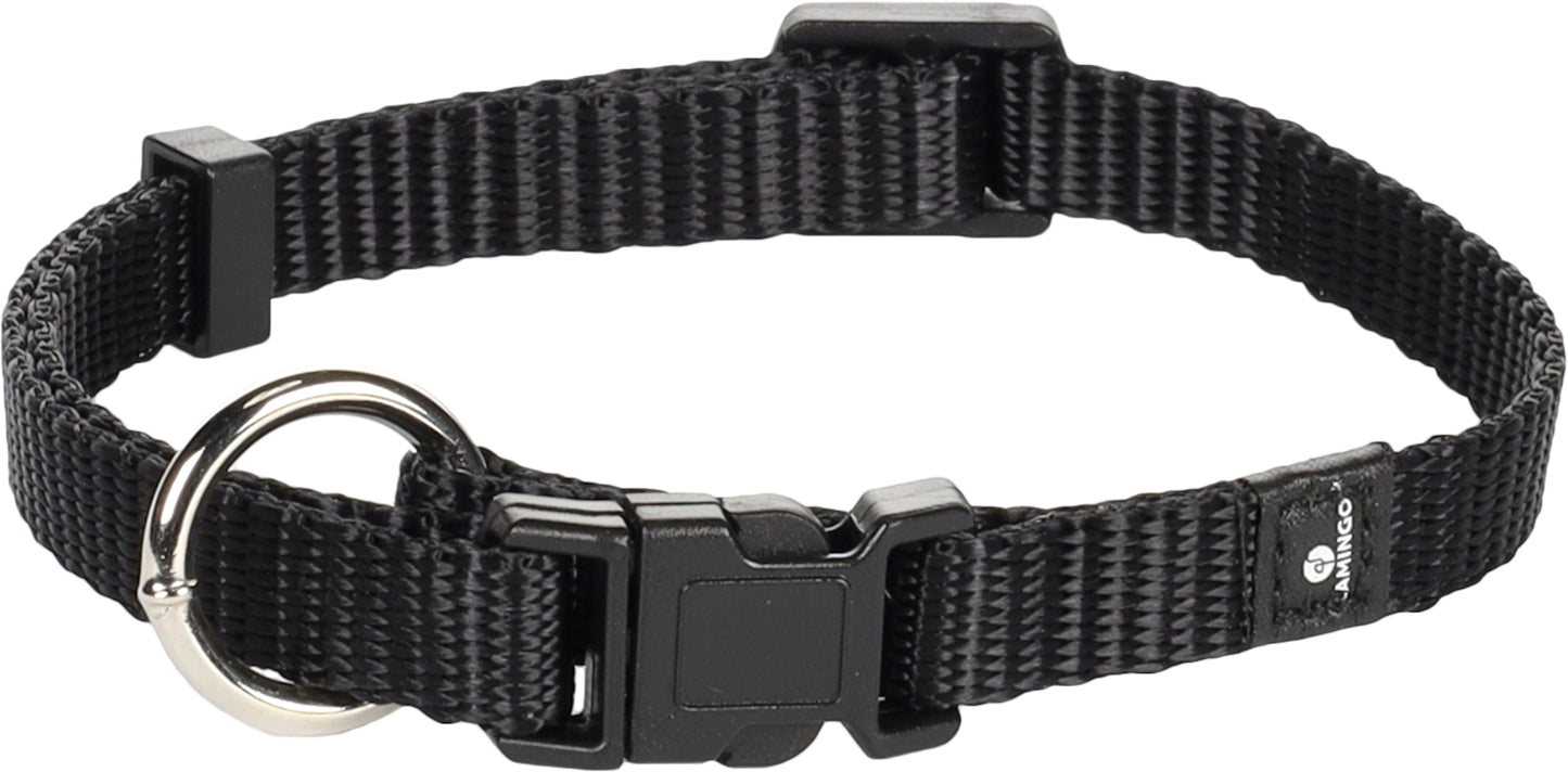 5364564 - Chien Collier Ziggi Noir XS 20-35cm