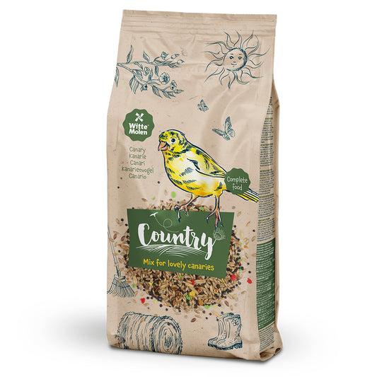 652700 - Country Canari