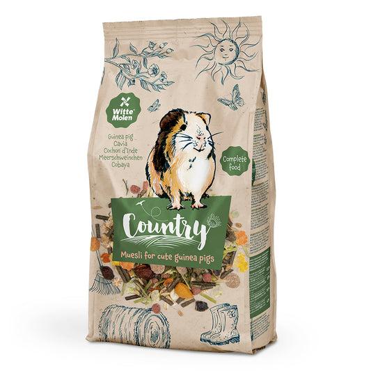 652718 - Country Cochon d`inde
