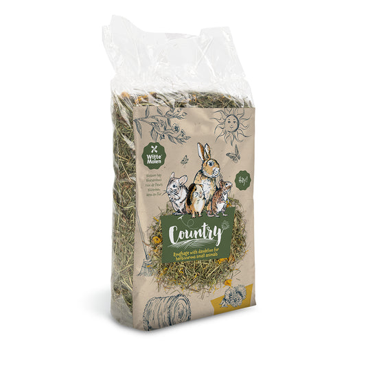 655525 - Country foin de fleurs pissenlits