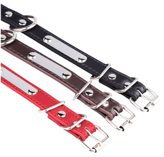 3701497701049 - Collier chien