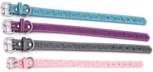 3701497700882 - Collier chien