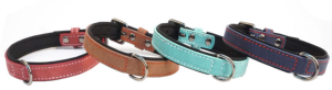3701497700813 - Collier chien