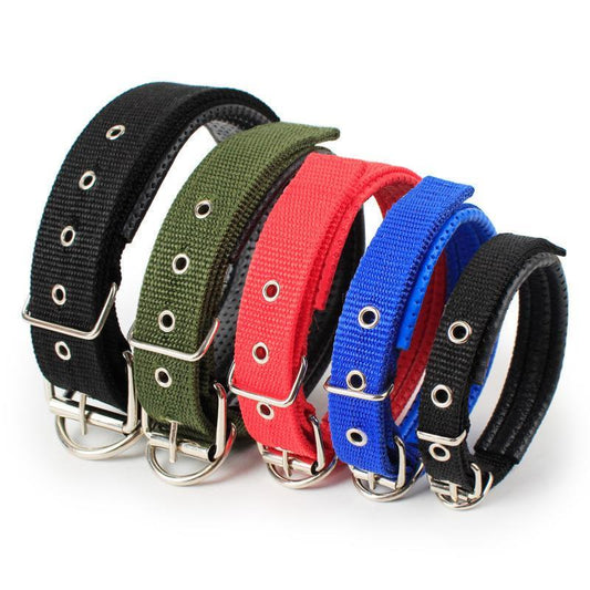 3701497700967 - Collier chien